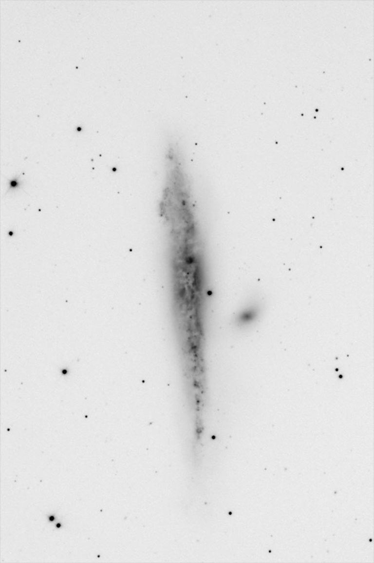 Peculiar Galaxy