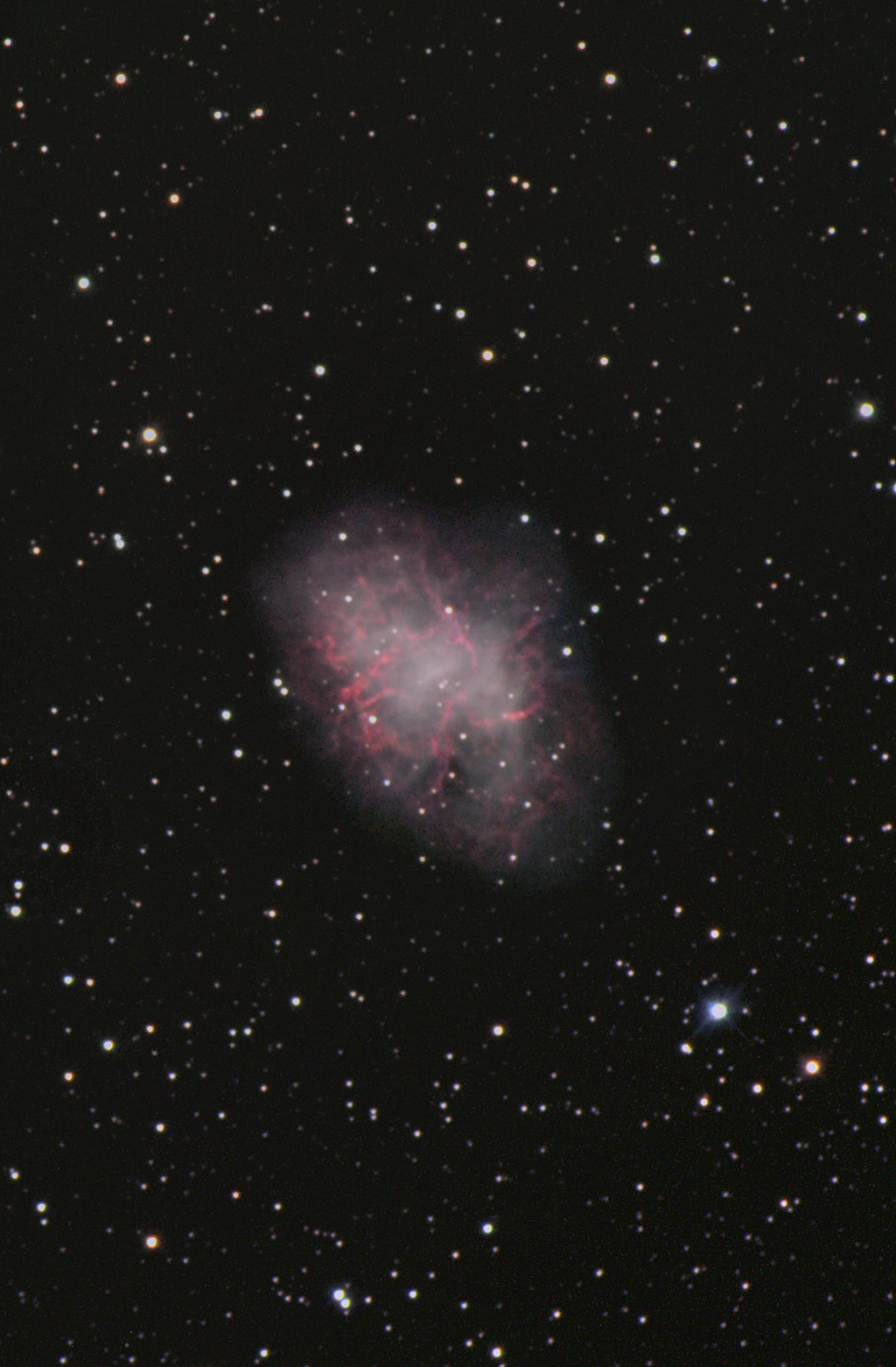 Supernova Remnant