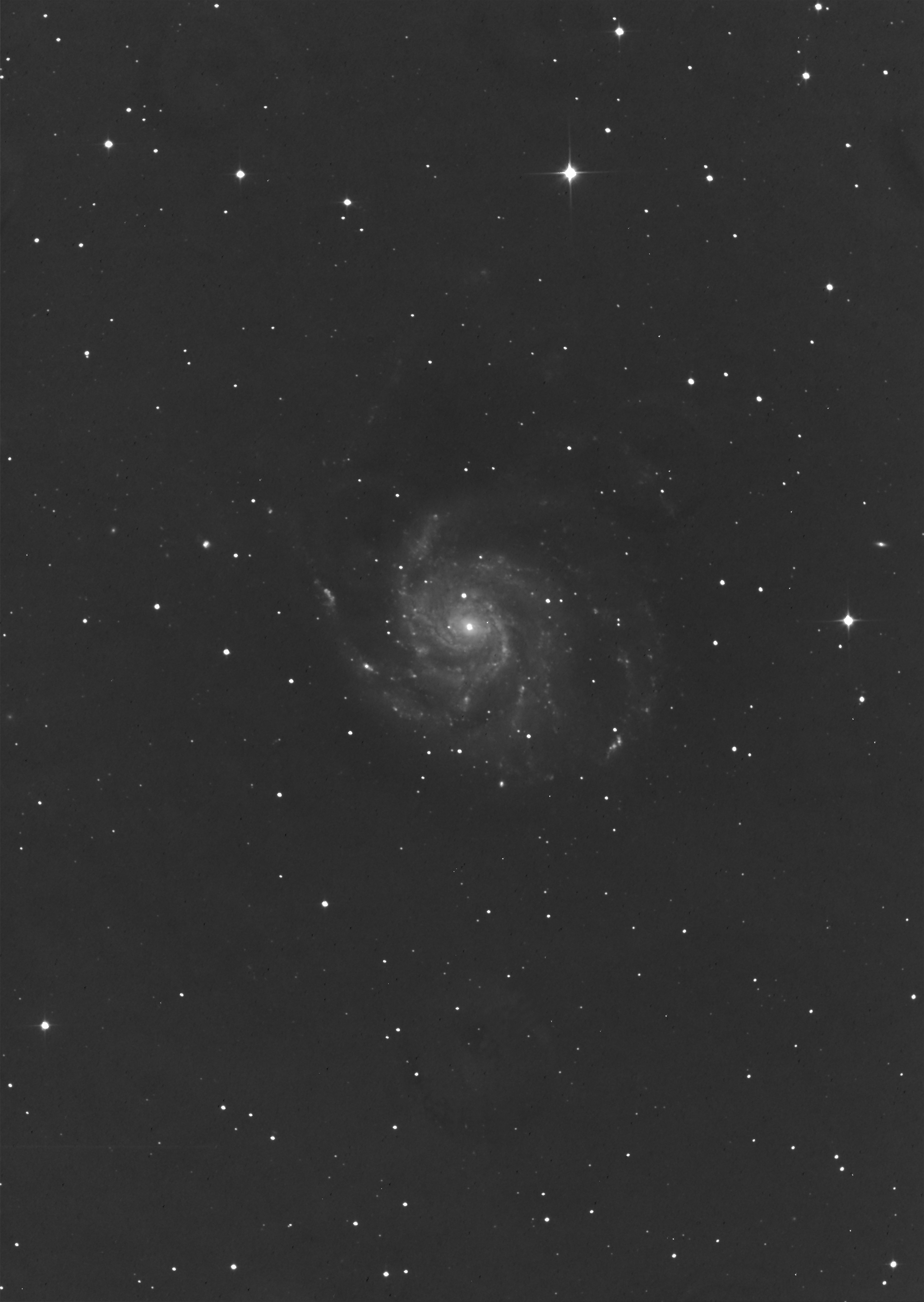 Spiral Galaxy