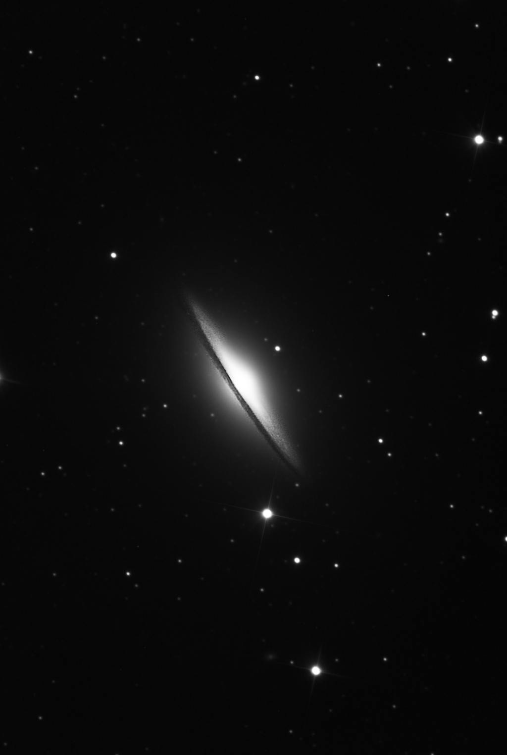 Spiral Galaxy