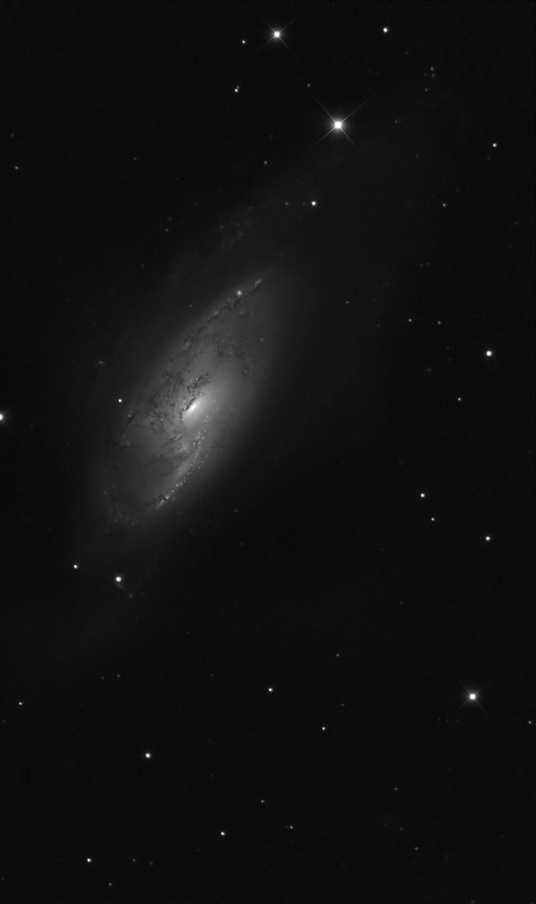Spiral Galaxy