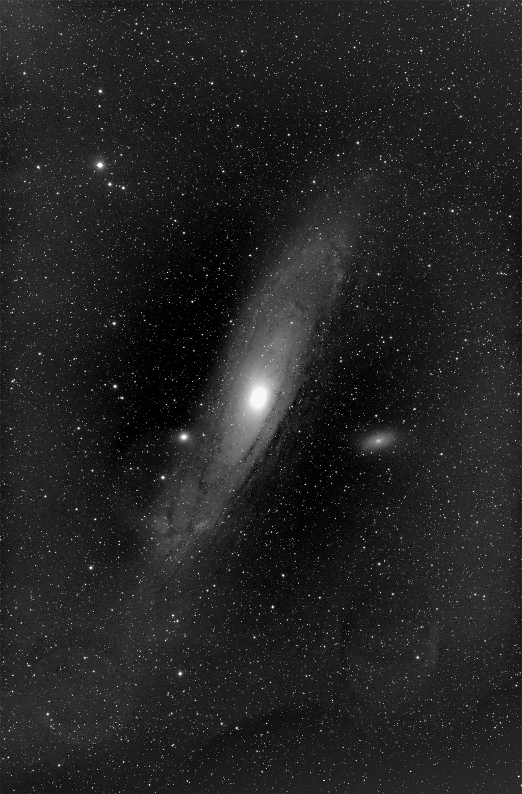Spiral Galaxy