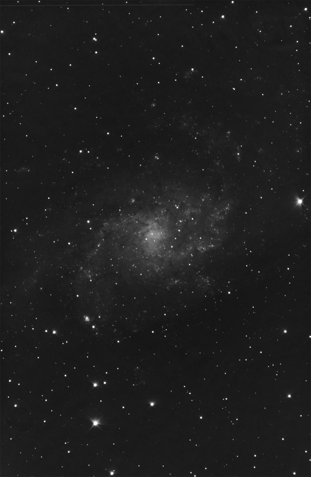 Spiral Galaxy