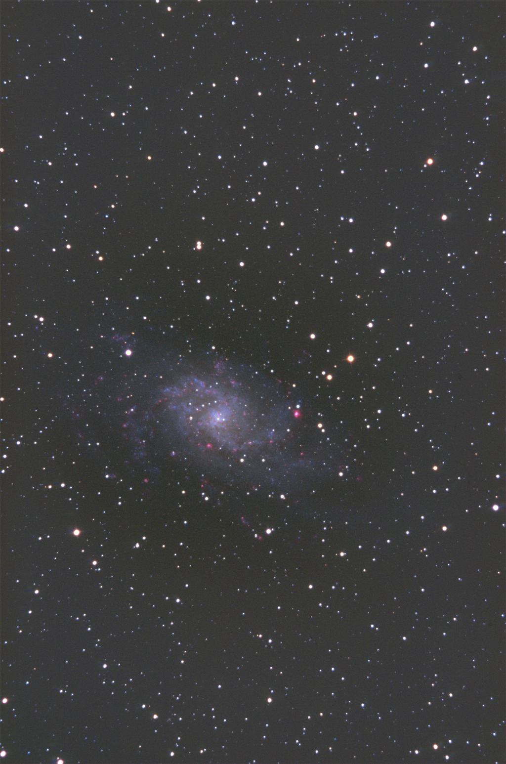 M33