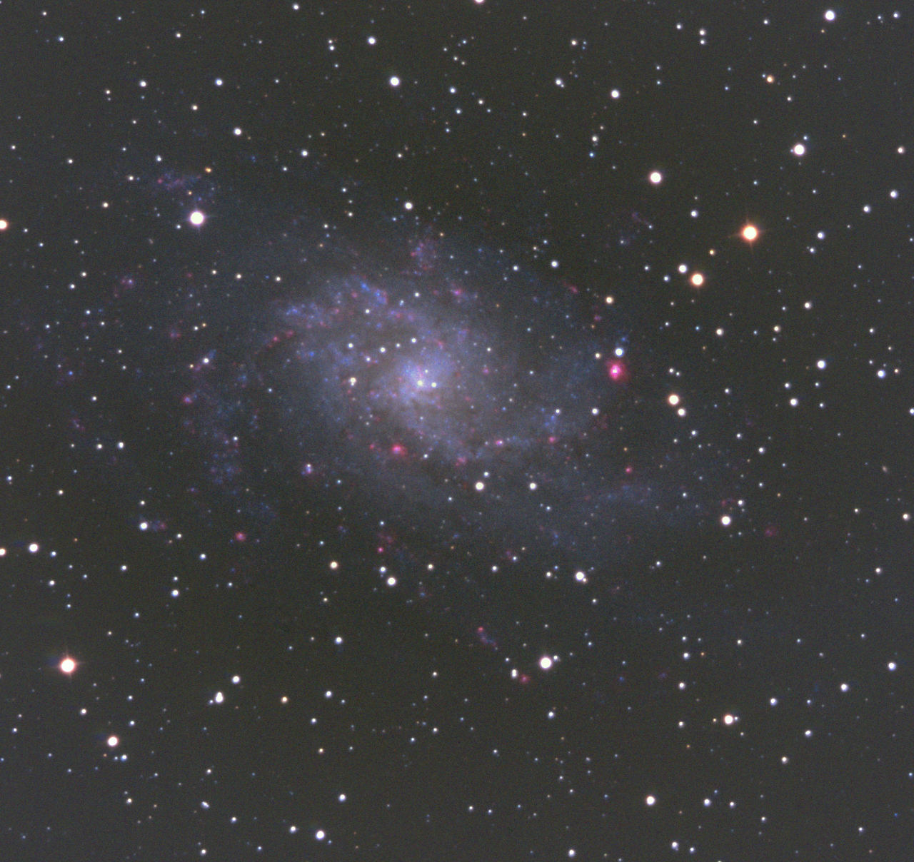 M33