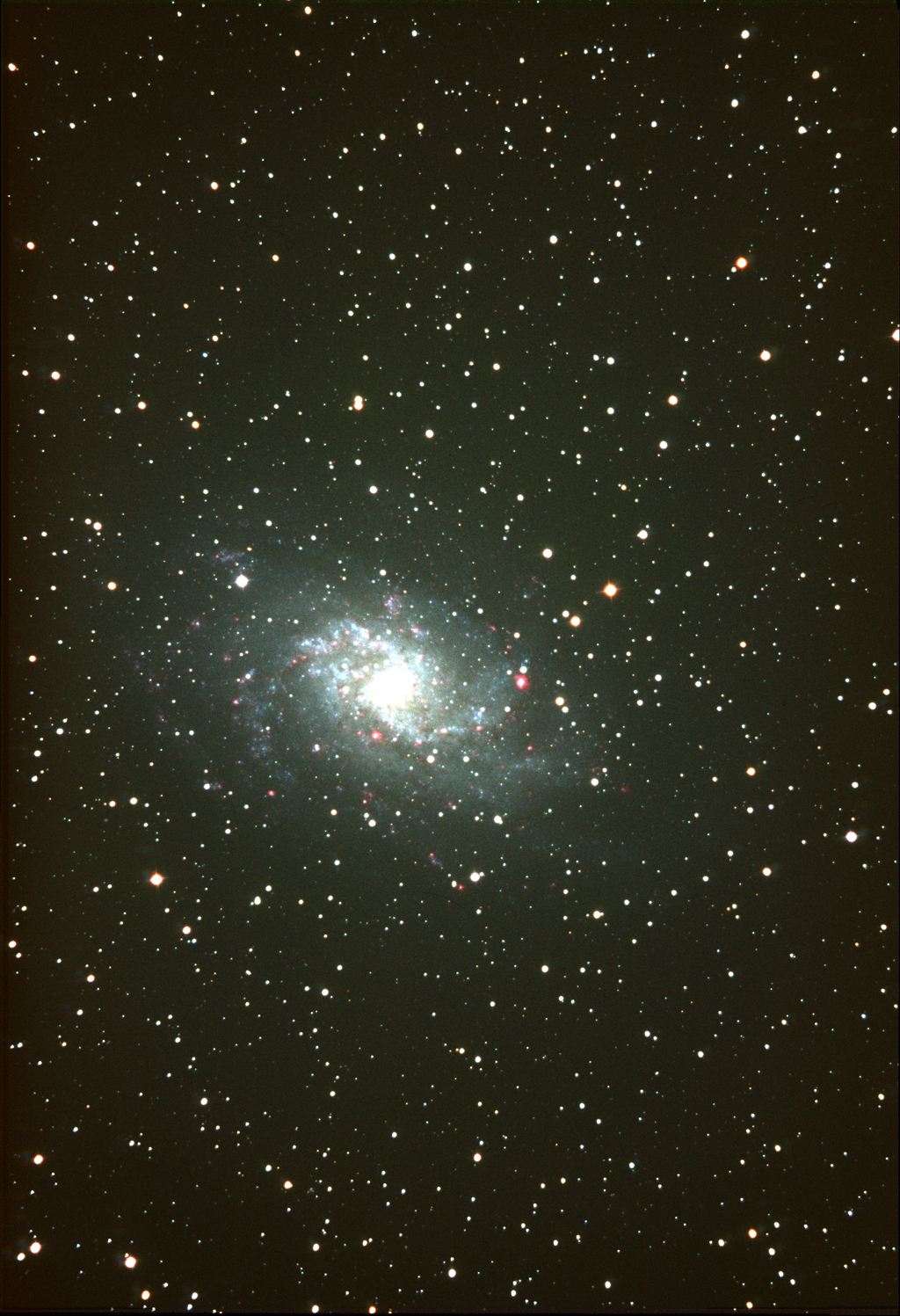 M33