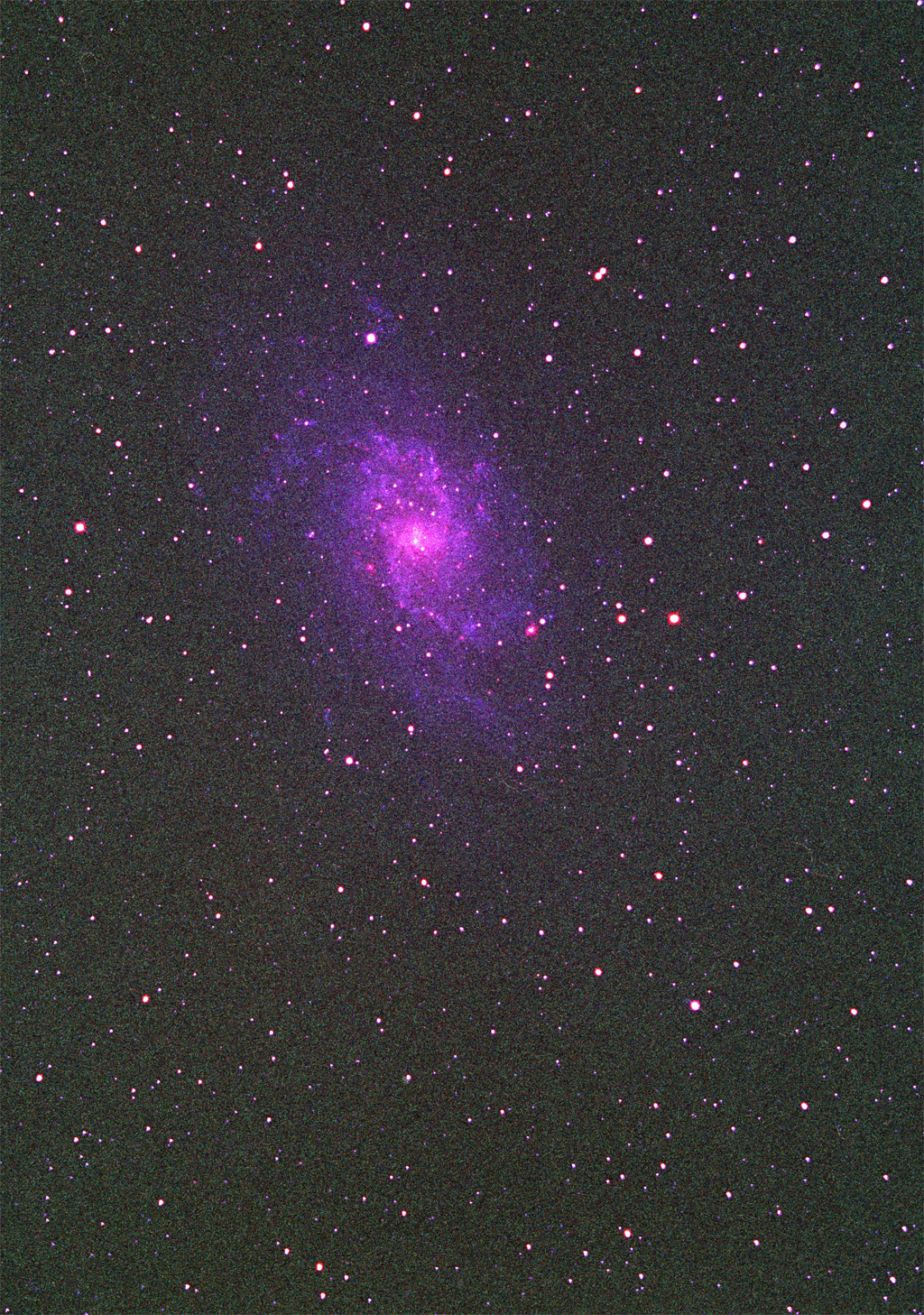 M33