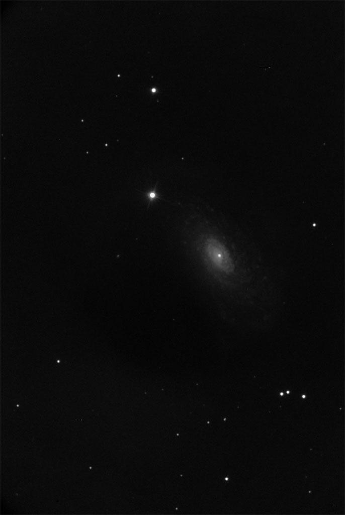 Spiral Galaxy