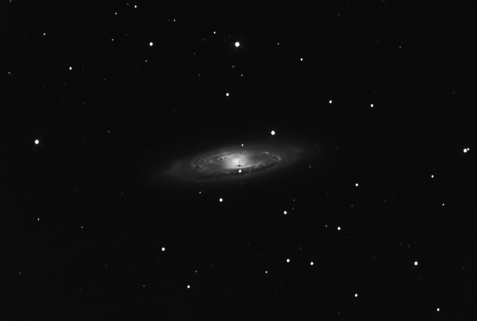 Spiral Galaxy