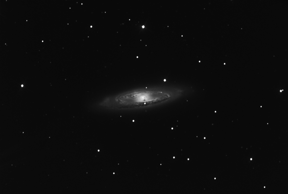 Spiral Galaxy