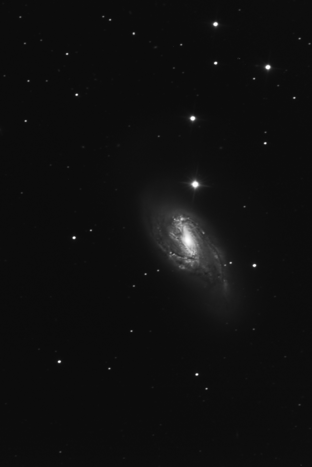 Spiral Galaxy