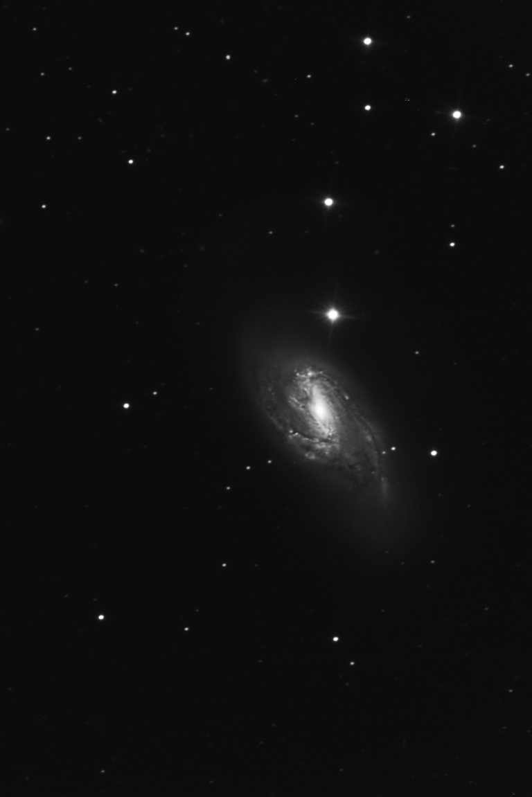 Spiral Galaxy