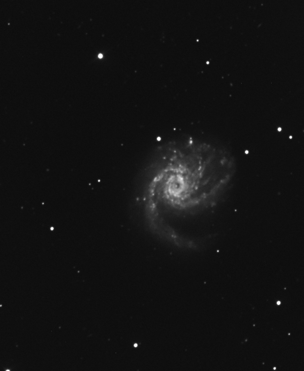 Spiral Galaxy