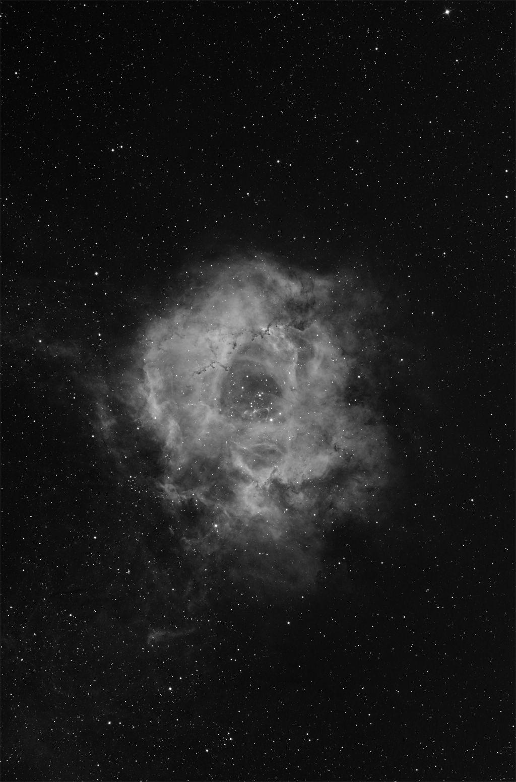 Open Cluster