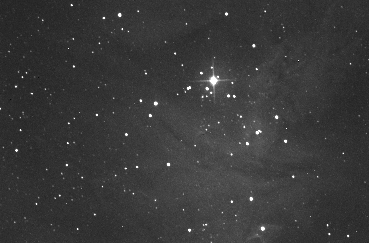 NGC2264