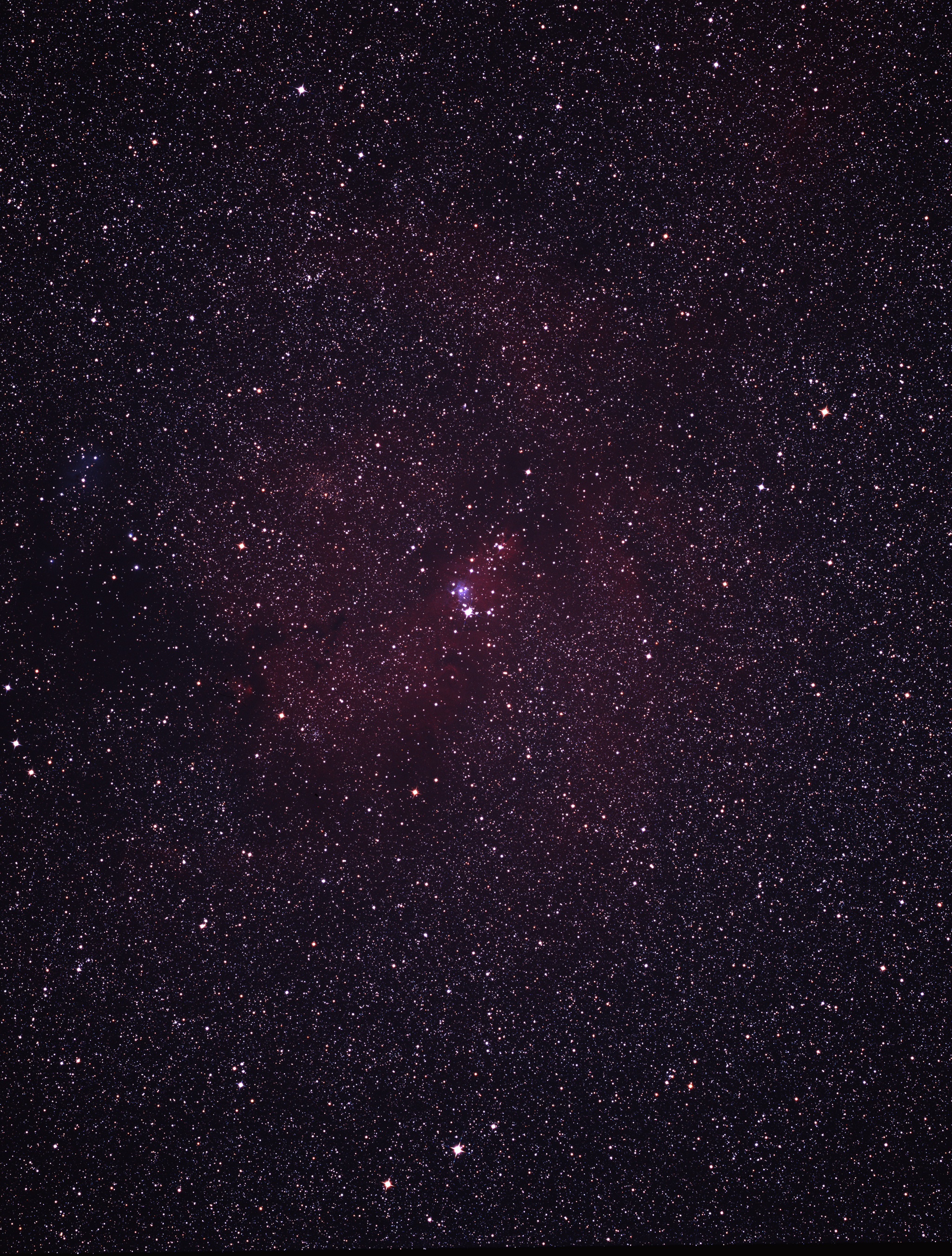 NGC2264