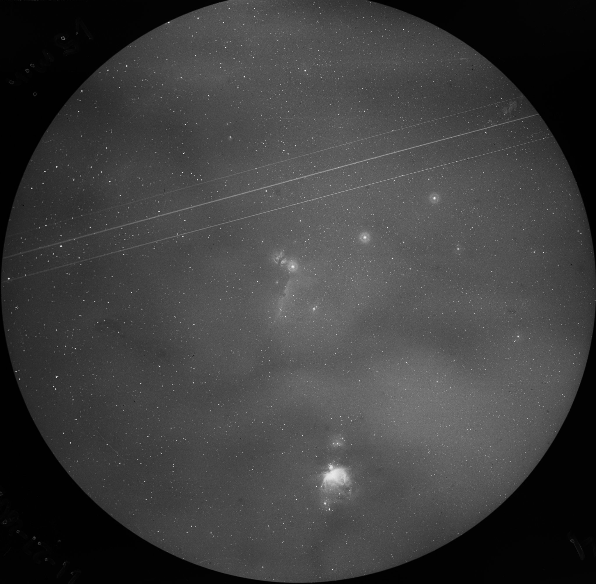 Orion Complex