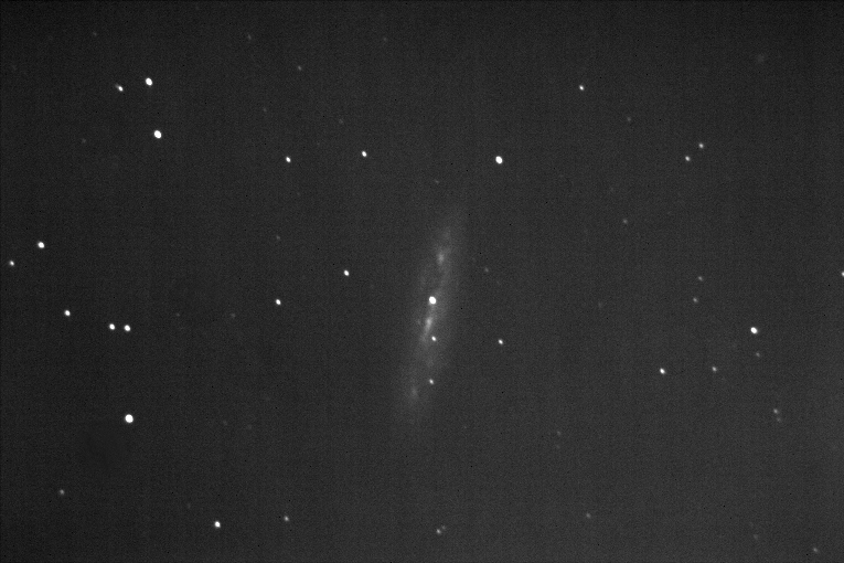 Spiral Galaxy