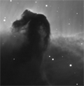 B 33