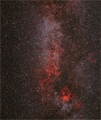 Cygnus - Medium Format