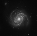 M100