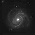 M 100