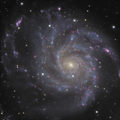 M101
