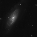 M106