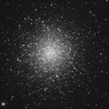 M13