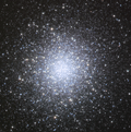 M13