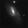 M 66