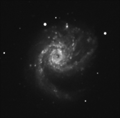 M99