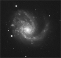 M 99