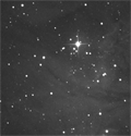 NGC2264