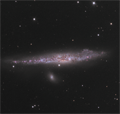 NGC4631