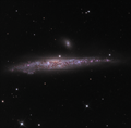 NGC4631